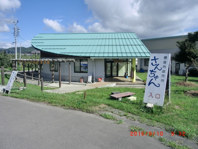 pony̔_Y 񂿂̓eʐ^1