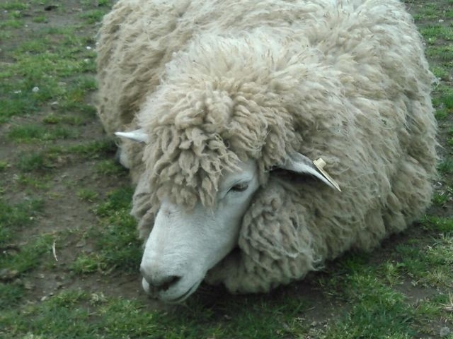 �r�ƒ��ɐG�ꍇ���܂��B_�ɍ��ۃO���[���q��