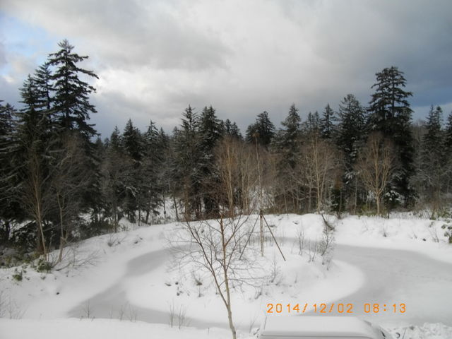 �z�e���̗���_�y���v�����X�z�e���X�L�[��