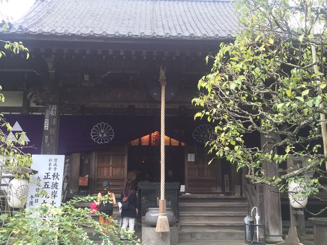 �{��_�����