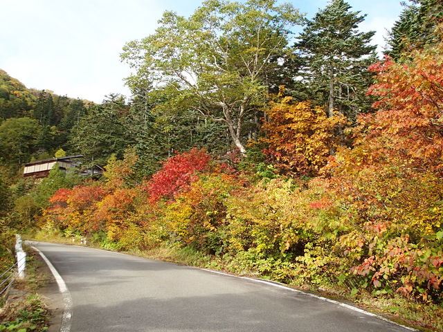 ꂩԂ邩ȁH_ƃGR[CiƊxj