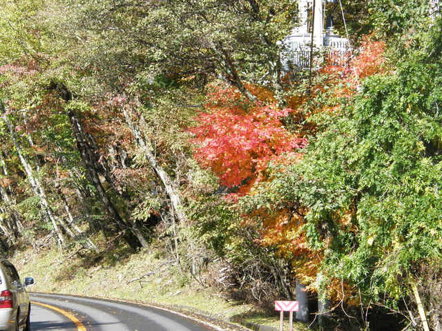 10{11ɂẮAgty߂܂B_T΃XJCC