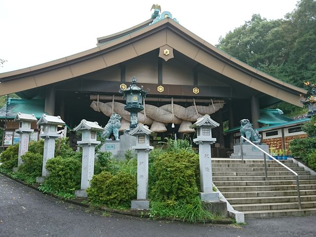 �헤���o�_���_�헤���o�_���