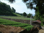 Ԃ񂳂̂_uقނv̓eʐ^1