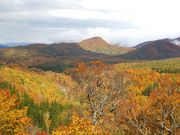 ق񂿂񂳂̌IR̓eʐ^1