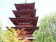 kitaさんの最勝院五重塔への投稿写真4