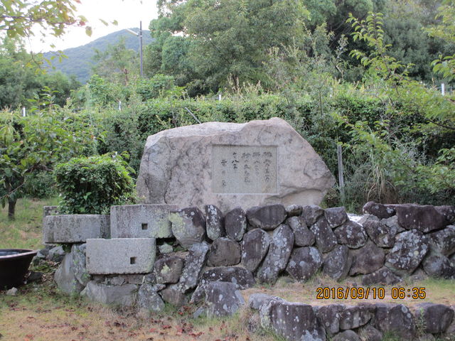 kama����̒و�h���w��̓��e�ʐ^1