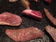 傤̗nē_CjO bonbori VhX̓eʐ^2