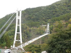 }ReB[̏XJCubWւ̓eʐ^1