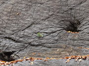 }ReB[̐т̗(gj̑Ղ̓eʐ^1