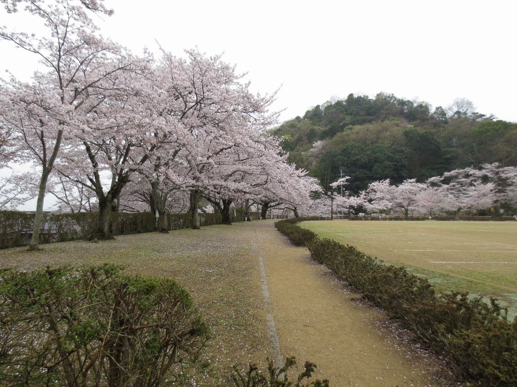 関西 春絶景26選 この春に行くべきおすすめスポットを厳選 じゃらんニュース