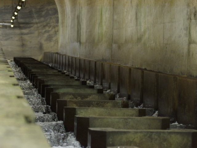 ��������_���ۃ_������