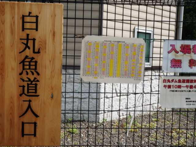 ����_���ۃ_������