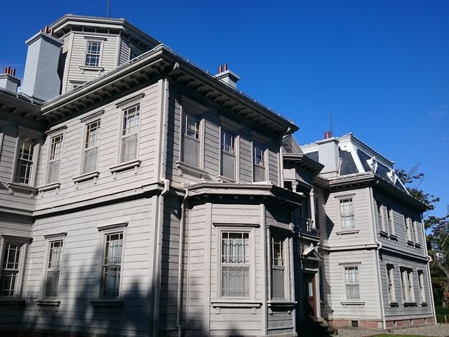 �O��_�V���t