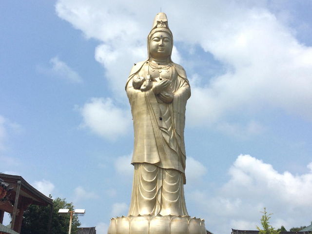 ܂񂳂̉ꉷ򋽂̓eʐ^1