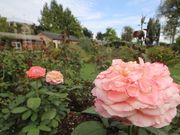 Ƃ̂тΑÊف@CObVK[f̓eʐ^6