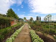 Ƃ̂тΑÊف@CObVK[f̓eʐ^8