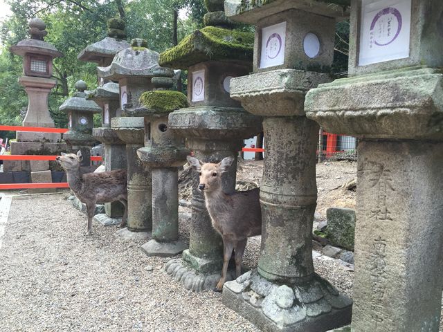 ŮԂ猩ċ܂(^^)_tЖ{Ж{a