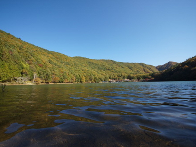 �l���A��_�l���A��