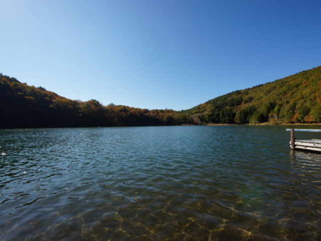 �l���A��_�l���A��