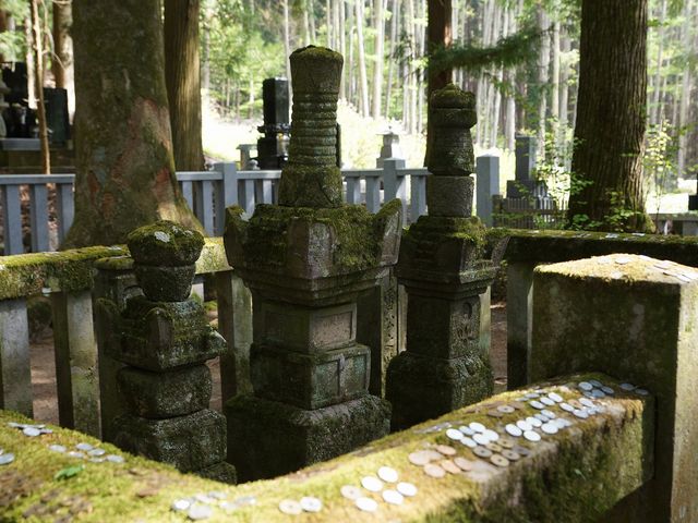 ������񂳂�̒��J���i���쌧��c�s�j�̓��e�ʐ^2