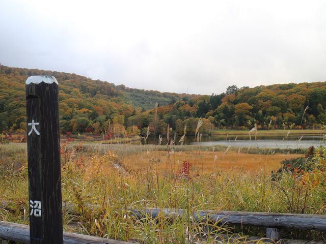 ���_������