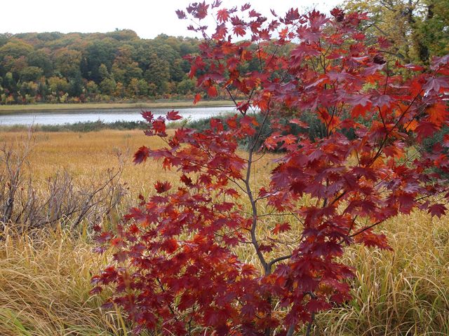 ����A_������