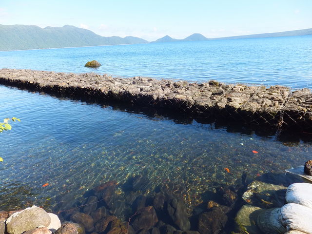 �ΔȂ̘I�V���C_�ۋ�򗷊�