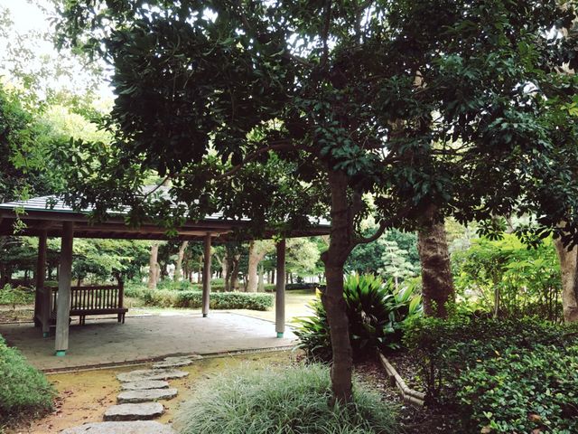 �x�e��_���l��