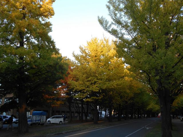 �C�`���E����_�k��C�`���E����