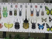 LbgNuېq̖aق̓eʐ^2