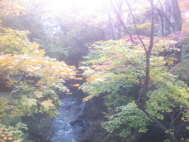 �k�J�����̍g�t_����������