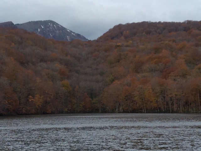 �ӏ��Q�@�g�t�I���ł����B_�Ӗ쒹�̐X