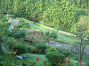 Ԃ񂳂̖{ؐ쎩R ق̗̓eʐ^3