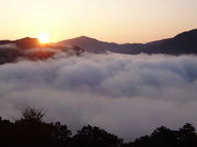 ǁ[̒|cՂ̉_C̓eʐ^3