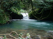 RRłL(ÉE)̂Ȃߑ̓eʐ^1