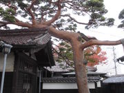 ܂邱̖{ԉƋ{@̓eʐ^1