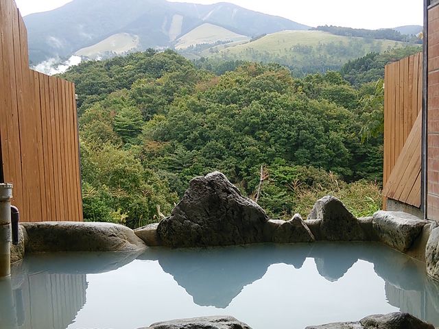 沗�̓��I�V���C_�L��̓��@�W�]�I�V���C