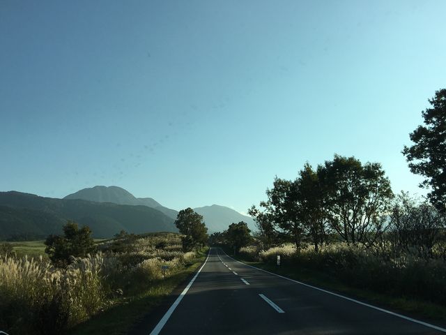 ���̎����͂������̌����L�����Ă܂��B_�ѓc�����i�啪����d���j