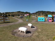 o_q̂猧i疲j̓eʐ^3