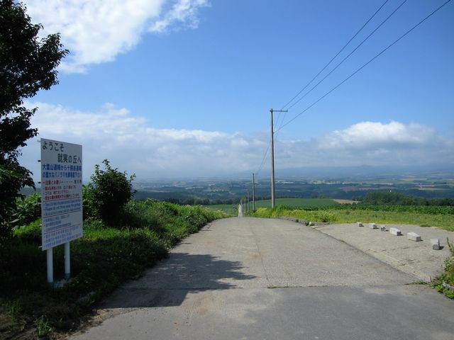 2016N8Beju_yA̋uv__yA̋u