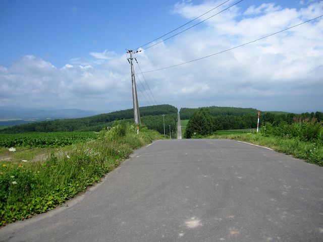 2016N8Beju_yA̋uv__yA̋u