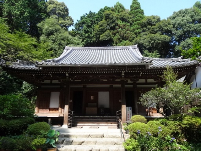 �{��_��D��