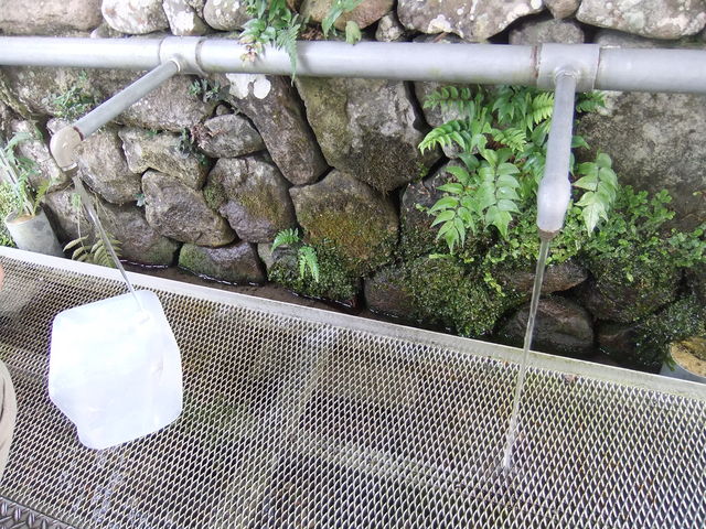 �����ݏ�B�₦�ԂȂ��₽���Y��Ȑ�������Ă܂��B_������