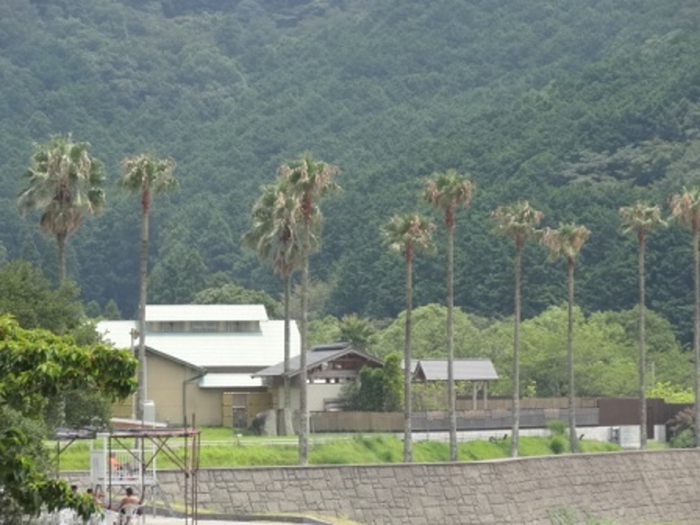 �z�e���G�̍�_�F���ՊC����