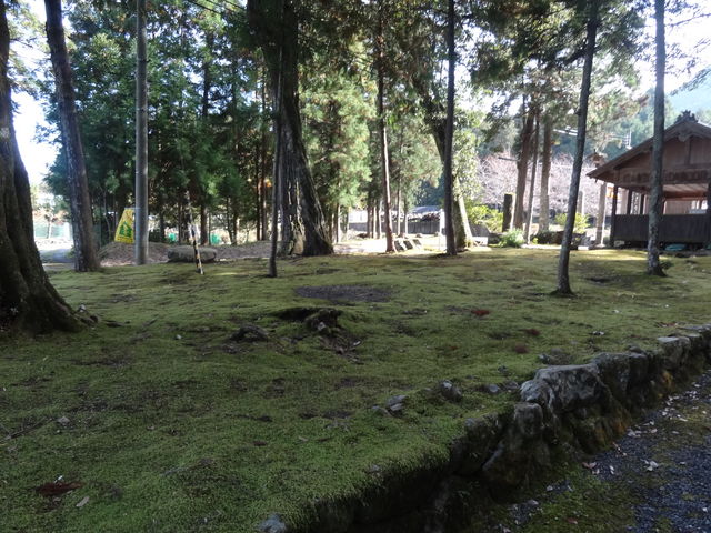 ���܂�����̐V��_�Ђ̓��e�ʐ^1