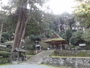 ���܂�����̐V��_�Ђ̓��e�ʐ^1