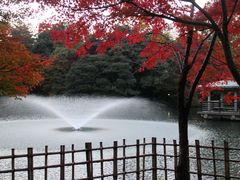 高岡古城公園の写真一覧 じゃらんnet