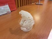 ]ˉƉL̃I[vJtFEsbR̓eʐ^2