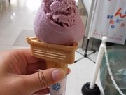 ]ˉƉL̃I[vJtFEsbR̓eʐ^3